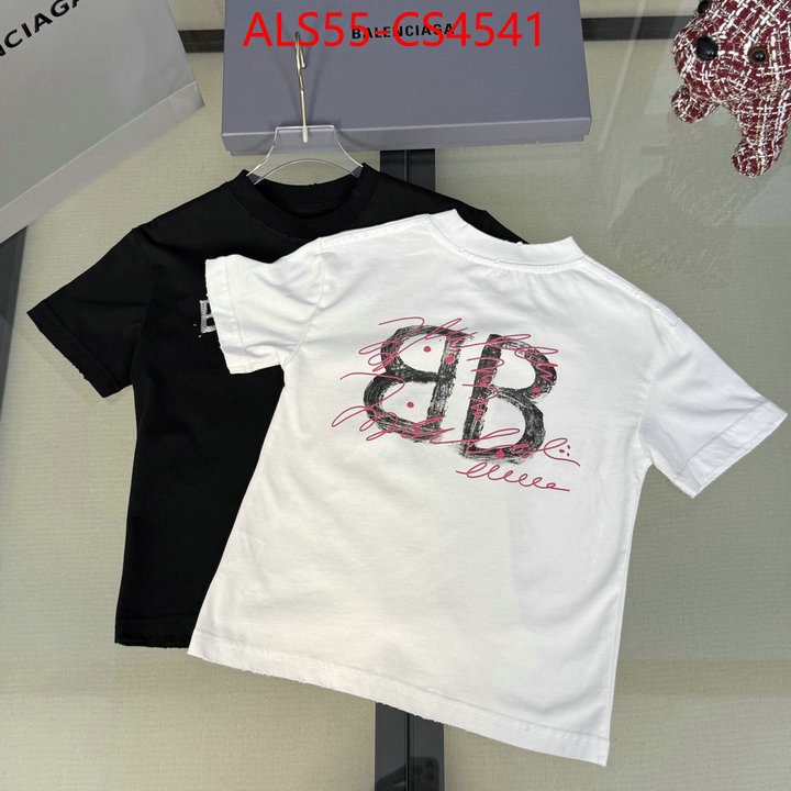 ID: CS4541
