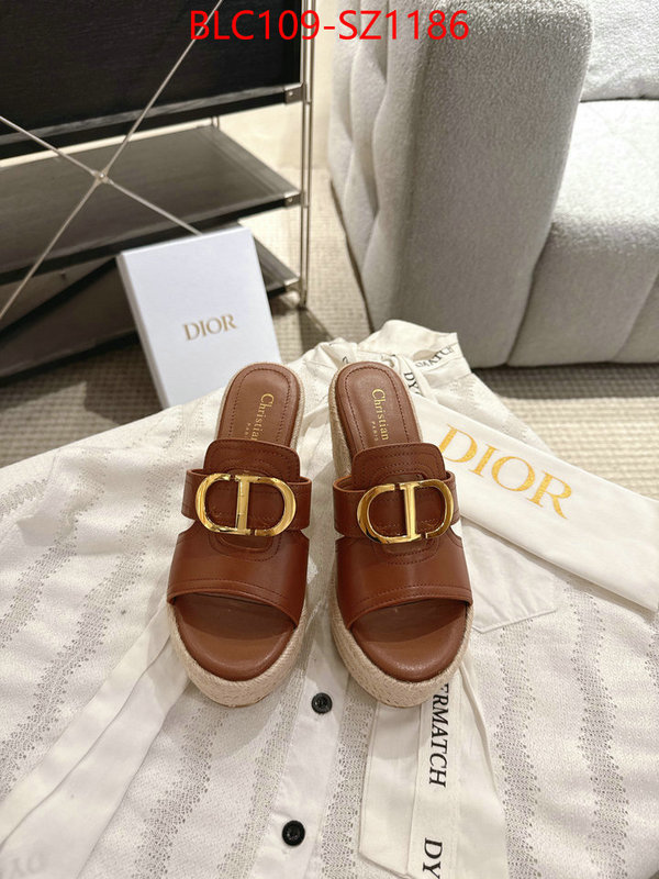 Women Shoes-Dior where to find the best replicas ID: SZ1186 $: 109USD