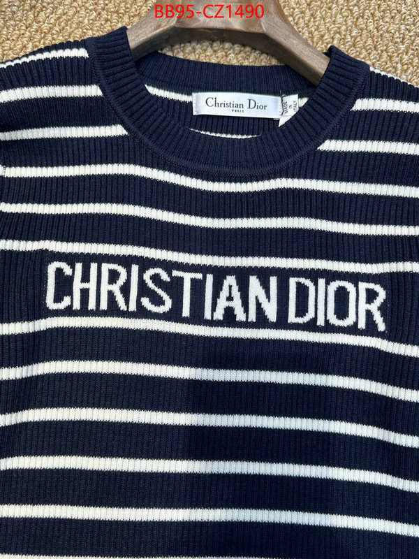 Clothing-Dior wholesale ID: CZ1490 $: 95USD