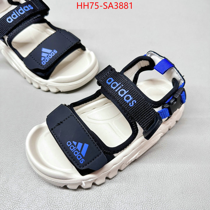 ID: SA3881