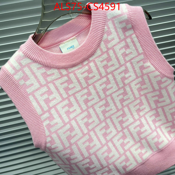 ID: CS4591