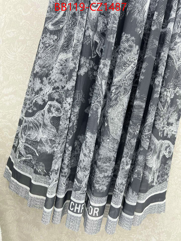 Clothing-Dior fashion designer ID: CZ1487 $: 119USD