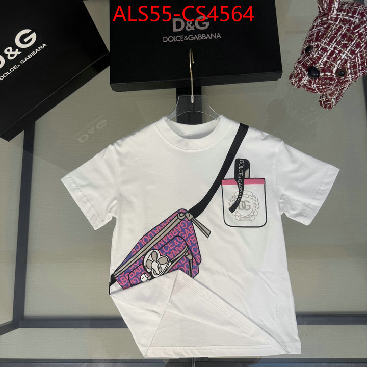 ID: CS4564