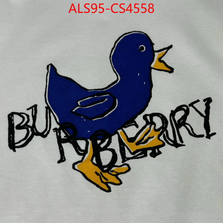 ID: CS4558