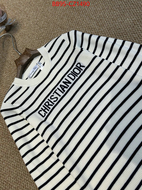 Clothing-Dior wholesale ID: CZ1490 $: 95USD