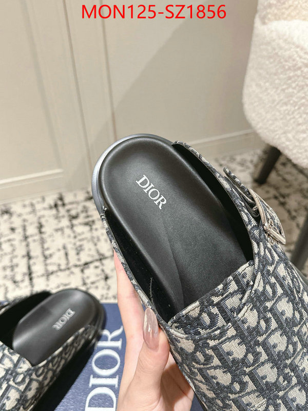 Men shoes-Dior top perfect fake ID: SZ1856 $: 125USD