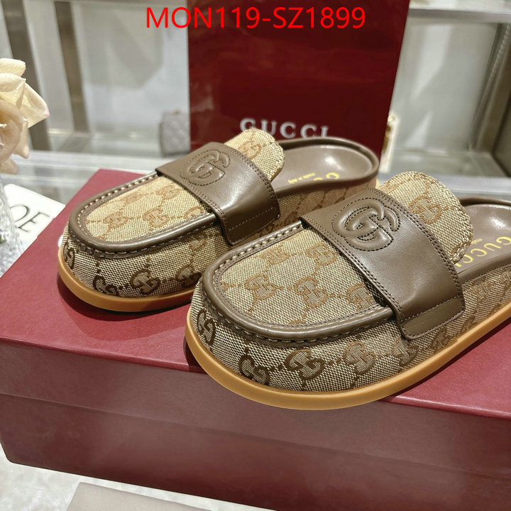 Women Shoes-Gucci high quality designer ID: SZ1899 $: 119USD