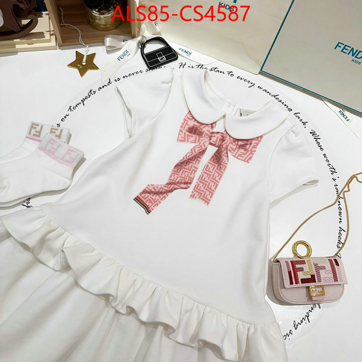 ID: CS4587
