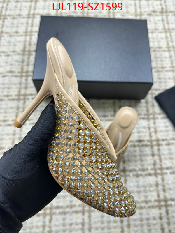Women Shoes-Alexander Wang what is top quality replica ID: SZ1599 $: 119USD