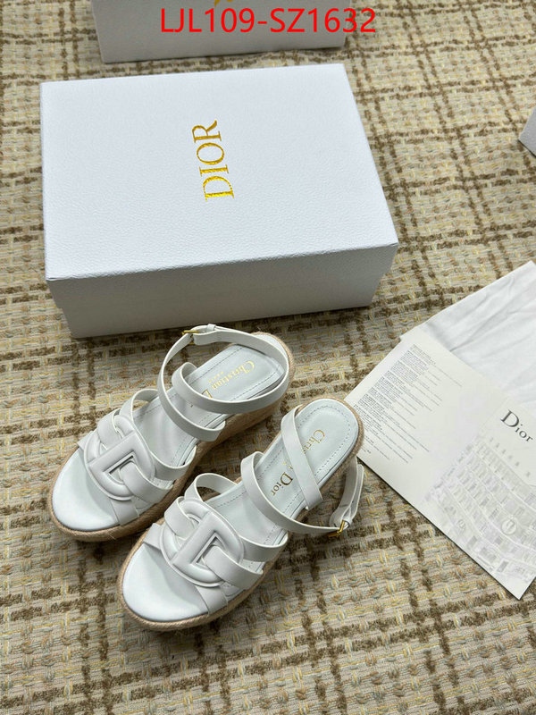 Women Shoes-Dior top quality website ID: SZ1632 $: 109USD