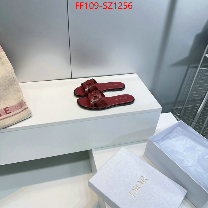 Women Shoes-Dior buying replica ID: SZ1256 $: 109USD