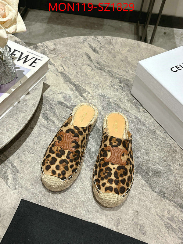 Women Shoes-CELINE what are the best replica ID: SZ1829 $: 119USD