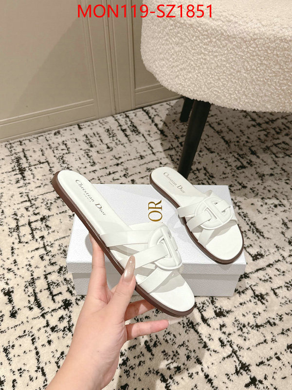 Women Shoes-Dior cheap replica designer ID: SZ1851 $: 119USD