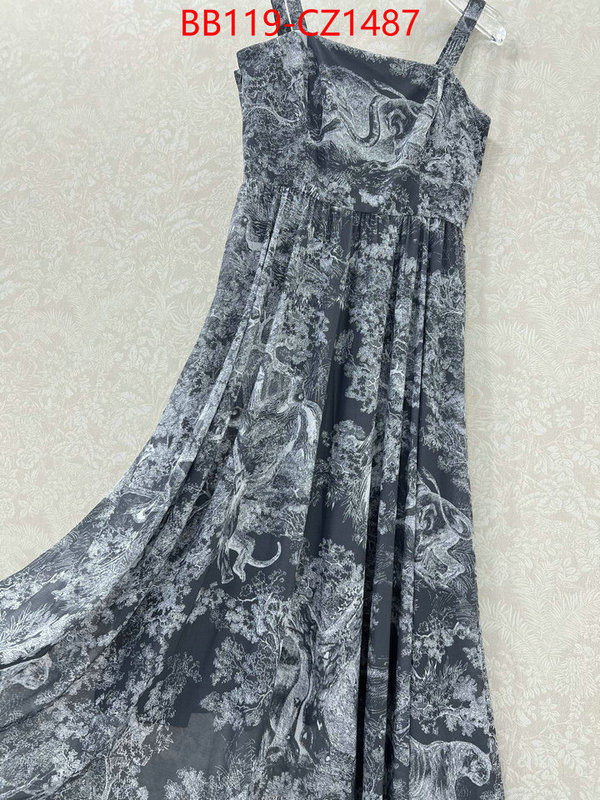 Clothing-Dior fashion designer ID: CZ1487 $: 119USD