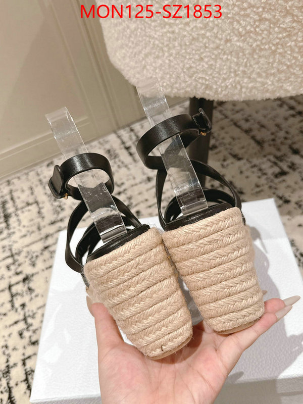Women Shoes-Dior how to start selling replica ID: SZ1853 $: 125USD