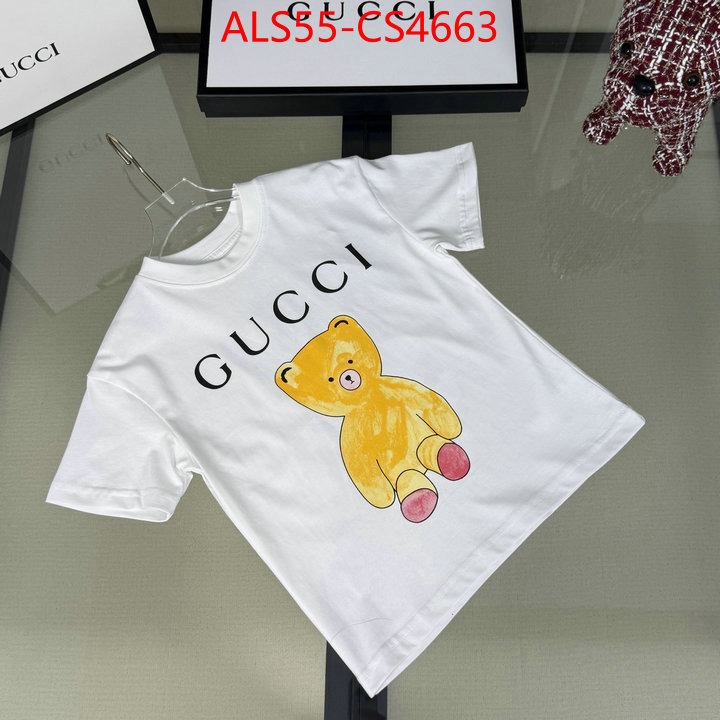 ID: CS4663