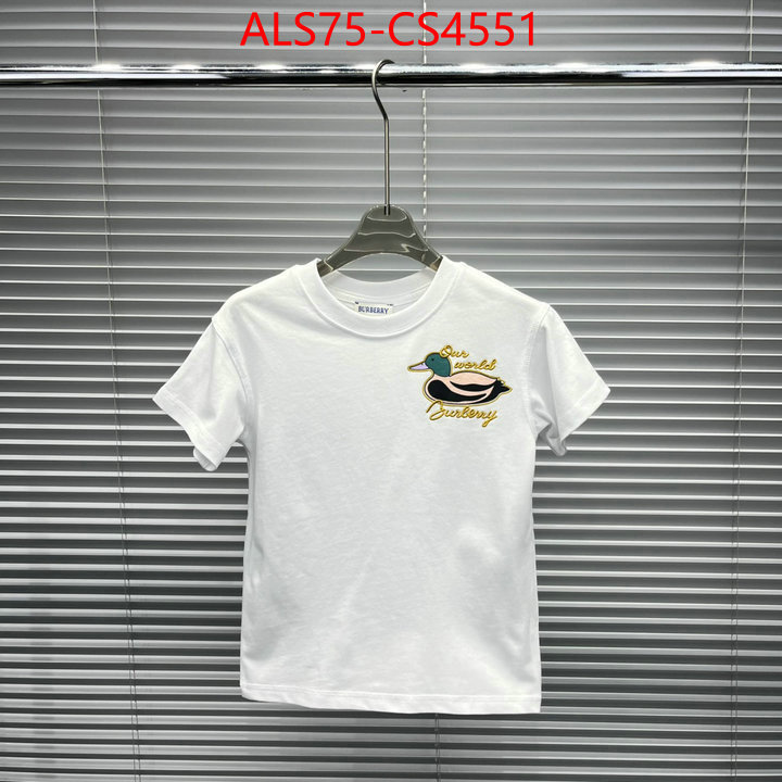 ID: CS4551