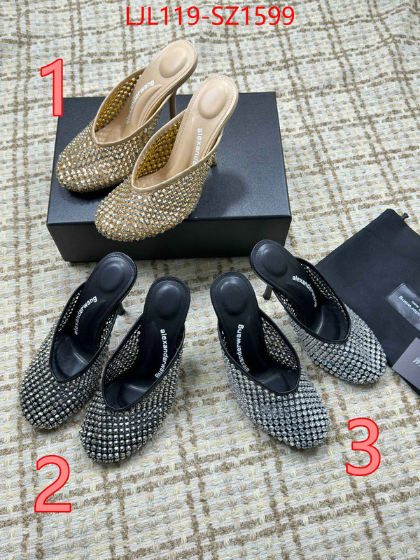 Women Shoes-Alexander Wang what is top quality replica ID: SZ1599 $: 119USD