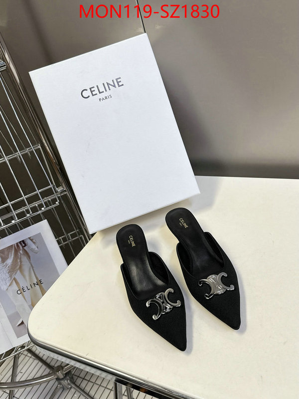 Women Shoes-CELINE sellers online ID: SZ1830 $: 119USD