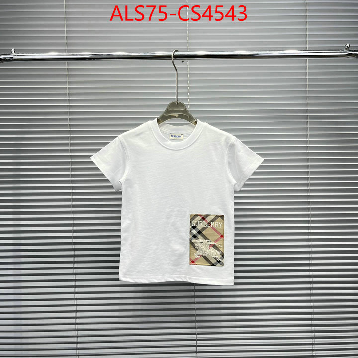 ID: CS4543