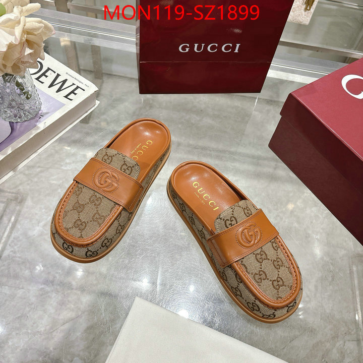Women Shoes-Gucci high quality designer ID: SZ1899 $: 119USD