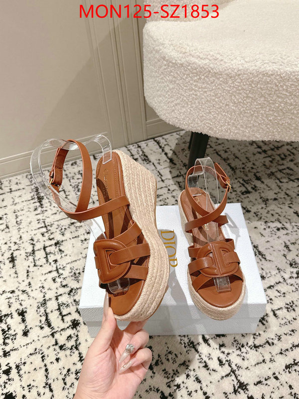 Women Shoes-Dior how to start selling replica ID: SZ1853 $: 125USD