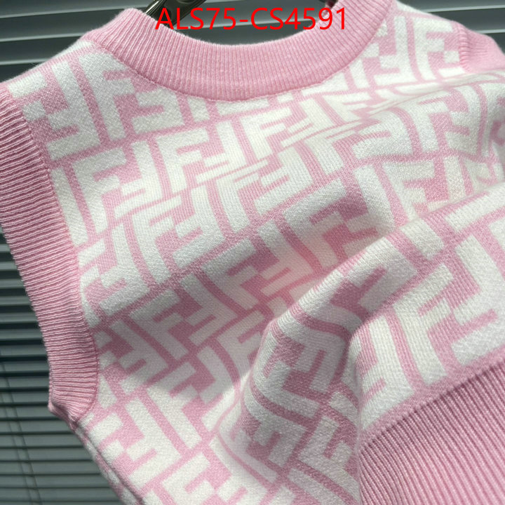 ID: CS4591