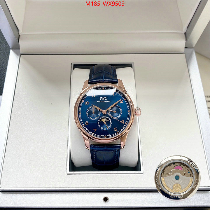 ID: WX9509