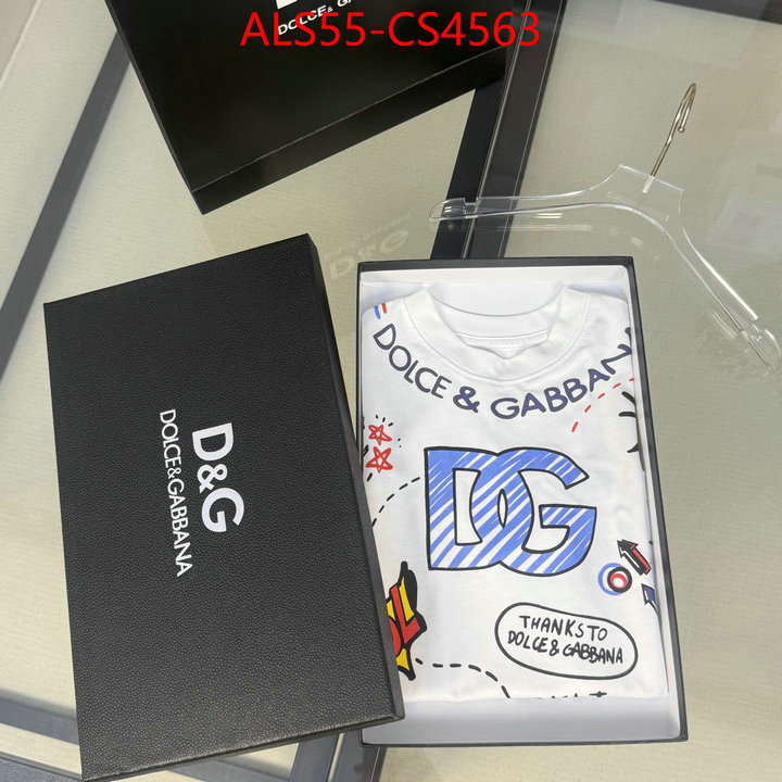 ID: CS4563