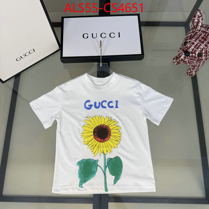 ID: CS4651