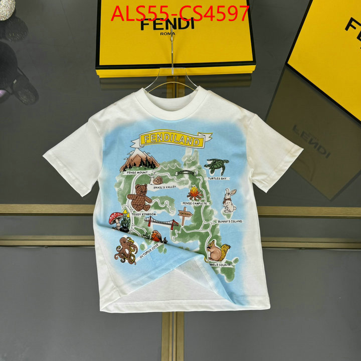 ID: CS4597