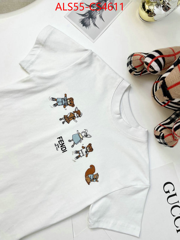ID: CS4611