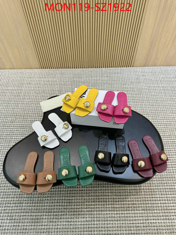 Women Shoes-Loewe new ID: SZ1922 $: 119USD