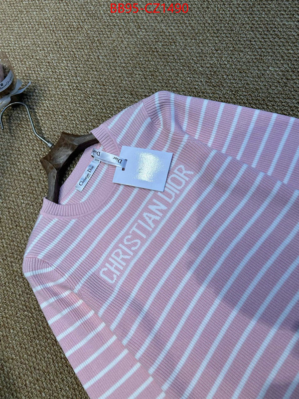 Clothing-Dior wholesale ID: CZ1490 $: 95USD