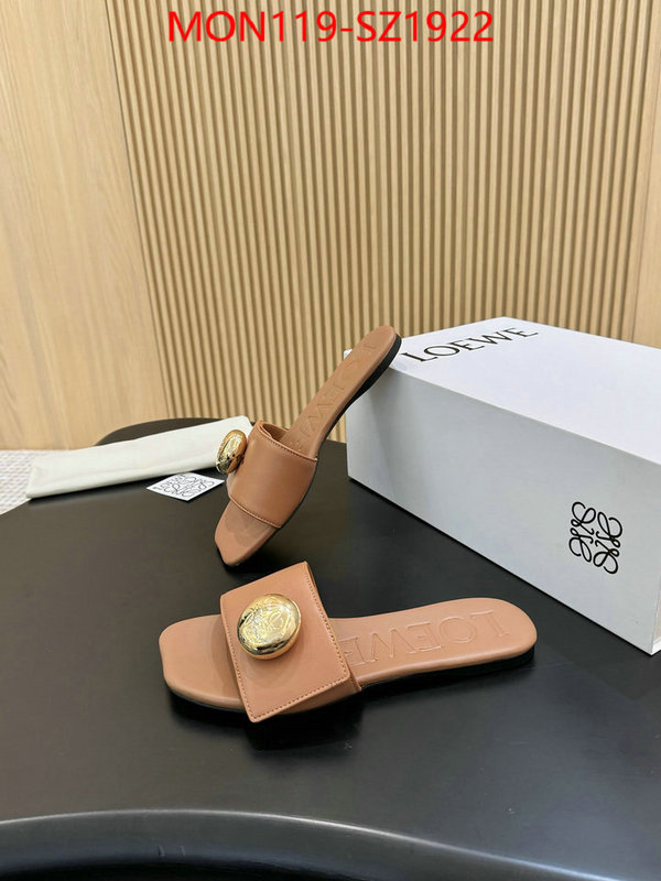 Women Shoes-Loewe new ID: SZ1922 $: 119USD