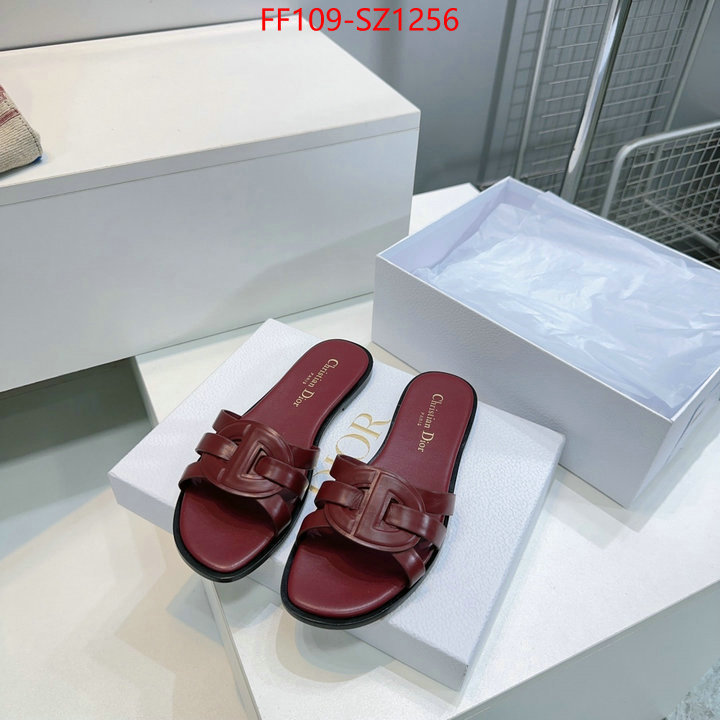 Women Shoes-Dior buying replica ID: SZ1256 $: 109USD