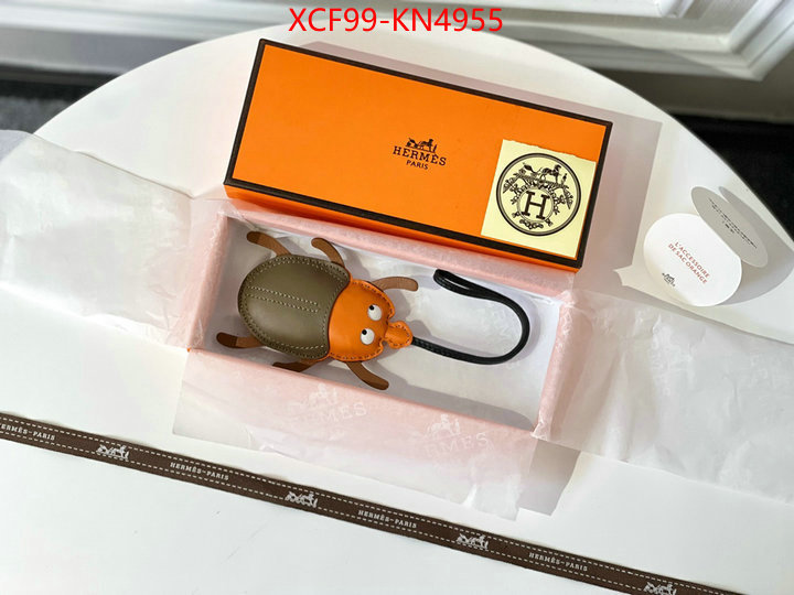 ID: KN4955