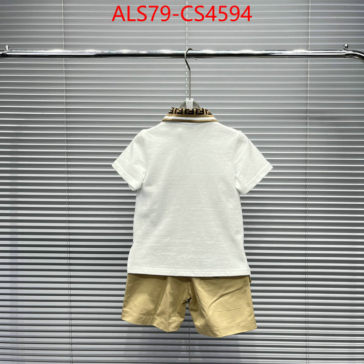 ID: CS4594