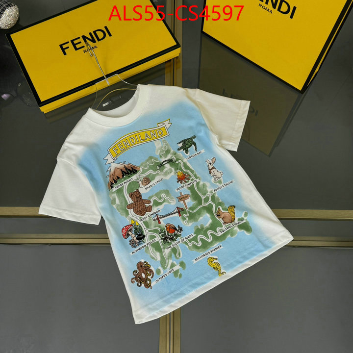 ID: CS4597