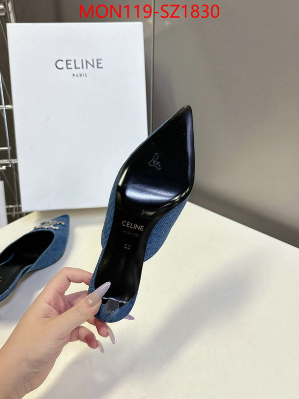 Women Shoes-CELINE sellers online ID: SZ1830 $: 119USD