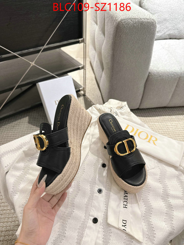 Women Shoes-Dior where to find the best replicas ID: SZ1186 $: 109USD
