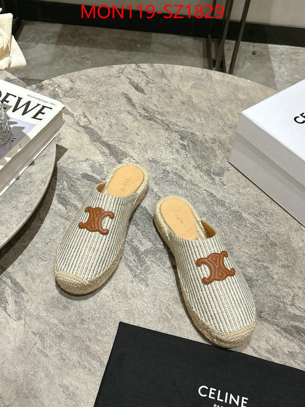 Women Shoes-CELINE what are the best replica ID: SZ1829 $: 119USD
