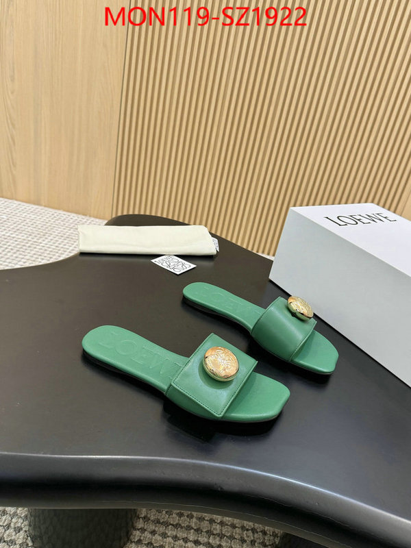 Women Shoes-Loewe new ID: SZ1922 $: 119USD