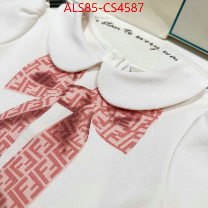 ID: CS4587
