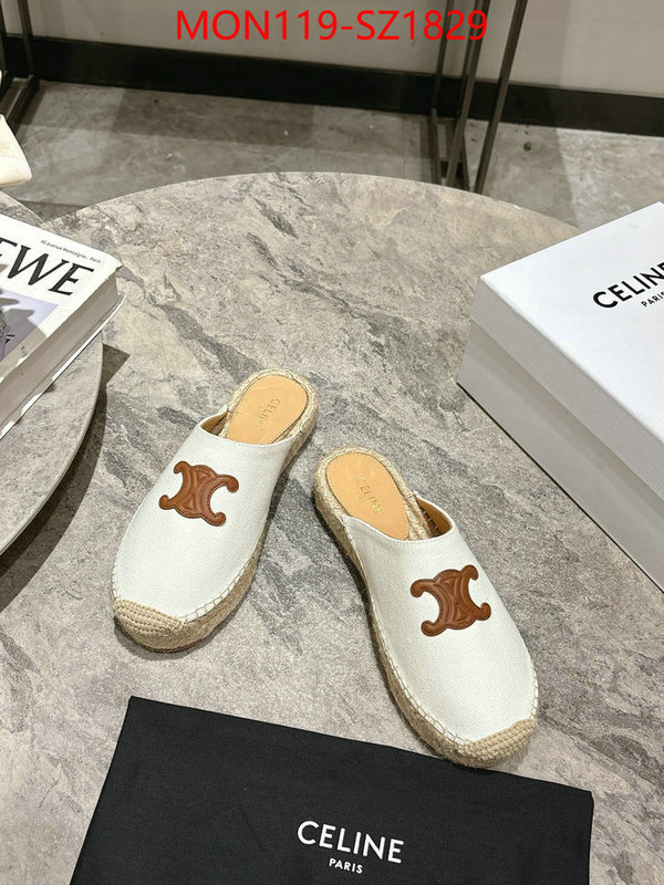 Women Shoes-CELINE what are the best replica ID: SZ1829 $: 119USD