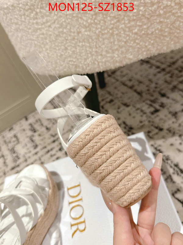 Women Shoes-Dior how to start selling replica ID: SZ1853 $: 125USD