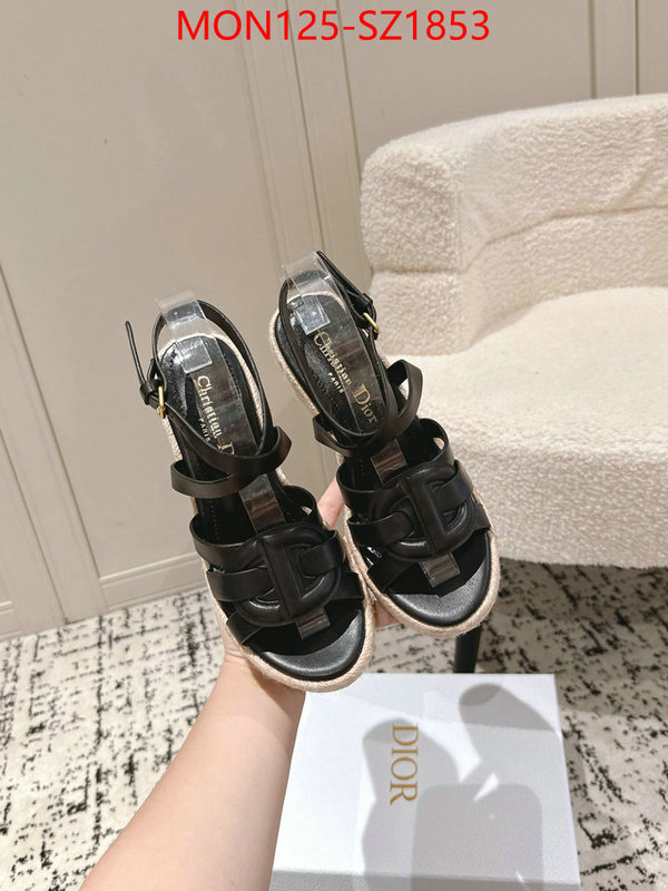 Women Shoes-Dior how to start selling replica ID: SZ1853 $: 125USD