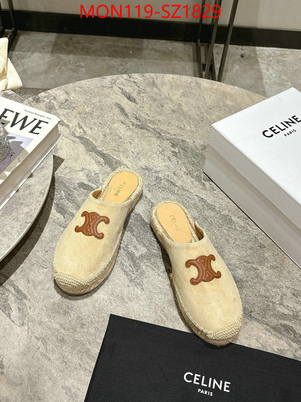 Women Shoes-CELINE what are the best replica ID: SZ1829 $: 119USD