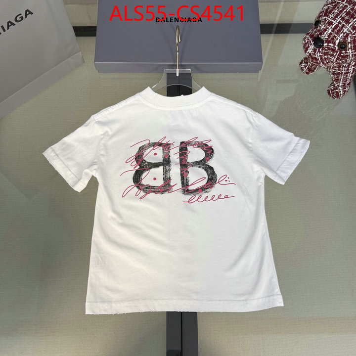 ID: CS4541