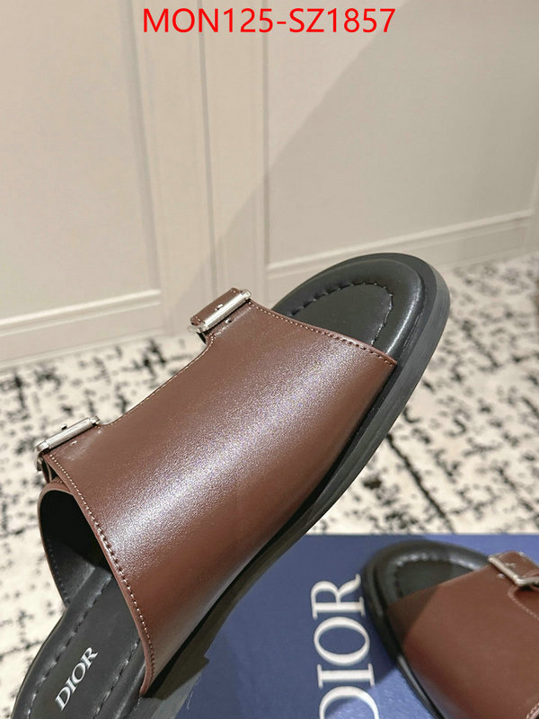 Men shoes-Dior top ID: SZ1857 $: 125USD